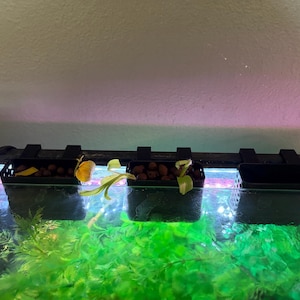 Ryan added a photo of their purchase