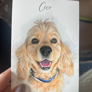 Emily hat ein Foto des gekauften Artikels hinzugefügt