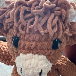 Nancy added a photo of their purchase