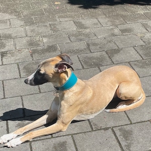 Midge heeft een foto van de aankoop toegevoegd