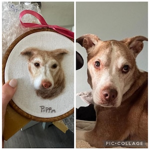 Amy added a photo of their purchase
