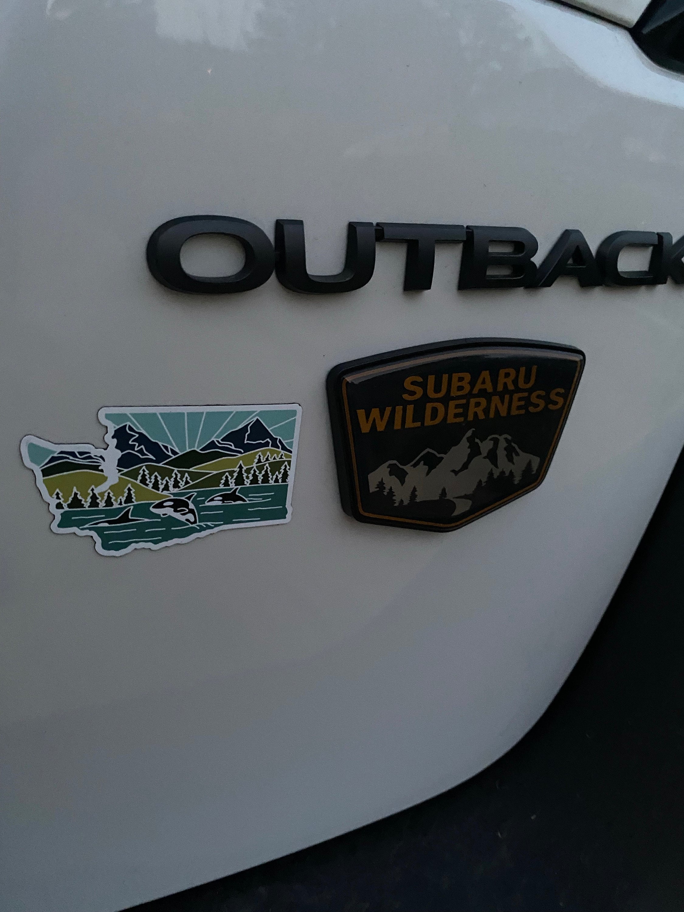 Washington Car Magnet | Weatherproof State Magnet | Outdoorsy Magnet | Washington Gift | Locker Magnet | Fridge Magnet | Decorative Magnet