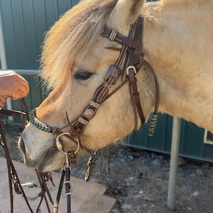 Tammy added a photo of their purchase