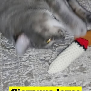 Jason heeft een foto van de aankoop toegevoegd