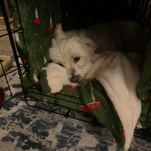 Beth ha aggiunto una foto del proprio acquisto