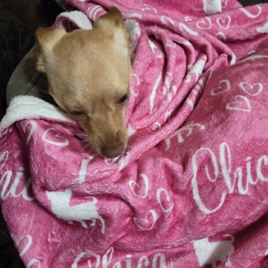 Chihuahua Heart Quilted Blanket NCU0NNT2727