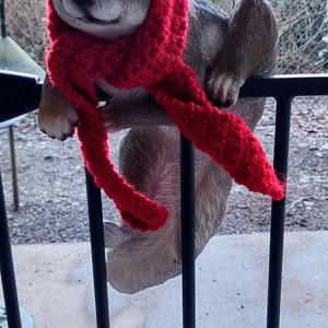 Jeanie added a photo of their purchase