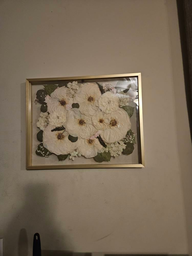 Preserved flowers from Elijah's etsy review