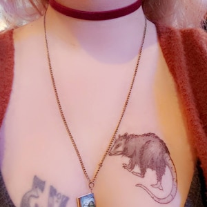 Emily added a photo of their purchase