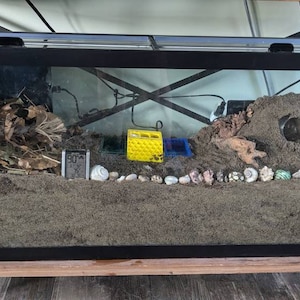 Elouise added a photo of their purchase