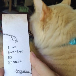 Selina ha añadido una foto de su compra