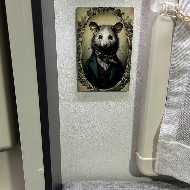 Metallschild „Beware Of Possum“ – 20,3x30,5 Cm, Aluminium, Wetterfest, Mit Aufhängebohrungen, Vintage-Stil