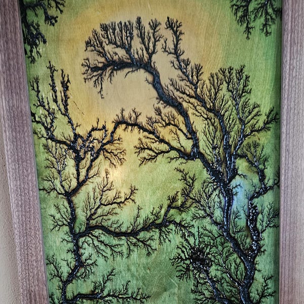 Lichtenberg Art Burning - Etsy