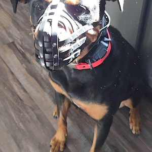 Shirley added a photo of their purchase