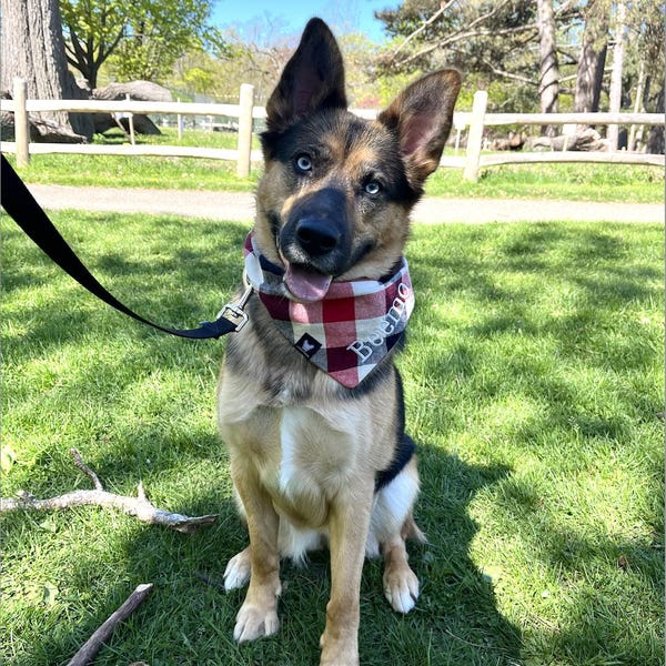 George jonathan the best christmas