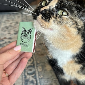 kaitlynn heeft een foto van de aankoop toegevoegd