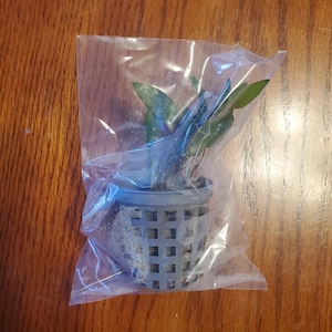 Jessica added a photo of their purchase