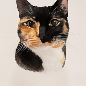 AMIE ha añadido una foto de su compra