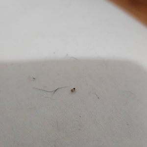 Comprador de Etsy ha añadido una foto de su compra