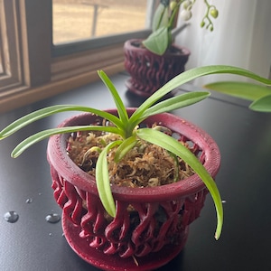IRINA added a photo of their purchase