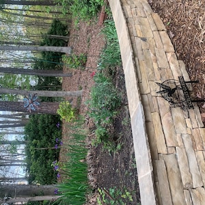 Jenifer added a photo of their purchase