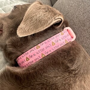 Shelly added a photo of their purchase