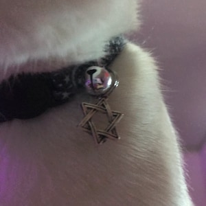 Remy added a photo of their purchase