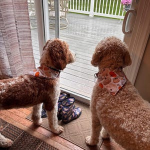 Jennifer added a photo of their purchase
