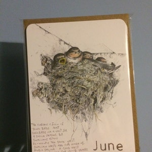 Hannah ha añadido una foto de su compra