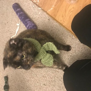 Julia added a photo of their purchase