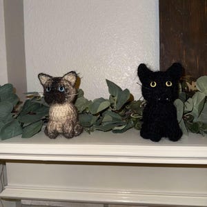 Shay added a photo of their purchase
