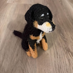 Sydney heeft een foto van de aankoop toegevoegd