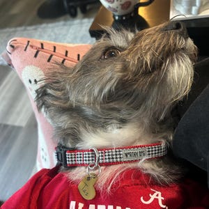Joan added a photo of their purchase