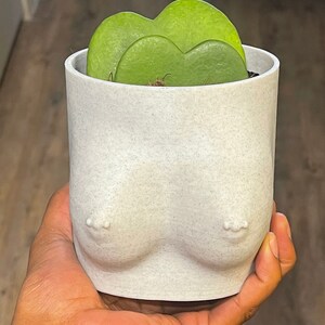 3D Printed Booby Pot and boob planter Small Booby size with and without piercings