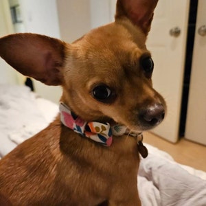 Amy adicionaram uma foto da sua compra