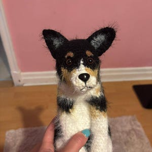 Alex added a photo of their purchase