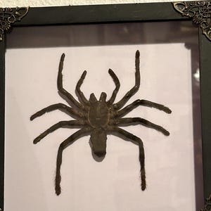 Elizabeth added a photo of their purchase