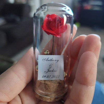 Beauty and the Beast Mini Glass Wedding Favors for Guests, Wedding ...