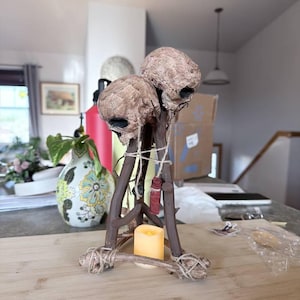 Evan さんが購入した商品の写真を追加しました