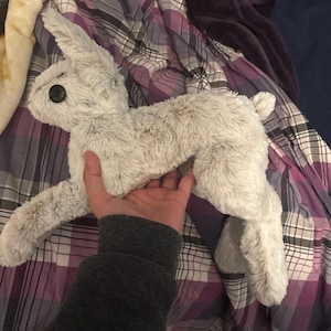 Sparxy added a photo of their purchase