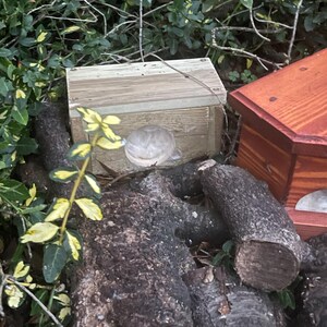 Christine added a photo of their purchase