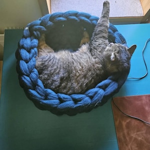 Patricia added a photo of their purchase
