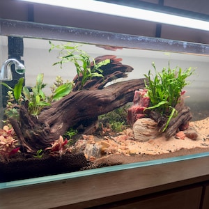 Amanda added a photo of their purchase