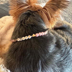 Michelle added a photo of their purchase