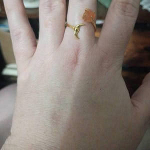 Blair added a photo of their purchase