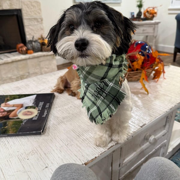 STMK 4 Stück Hundehalstücher Für Erntedankfest | Baumwolle, 76 Cm | Für Mittelgroße & Große Hunde