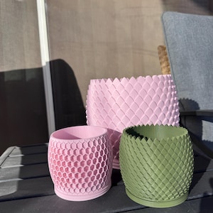 Tarryn ha añadido una foto de su compra