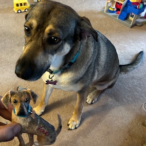 Custom Dog Ornament, Personalized Dog Ornament, Felt Dog Ornament, Dog Christmas Ornament, Dog Christmas Gift, Dog Memorial Ornament