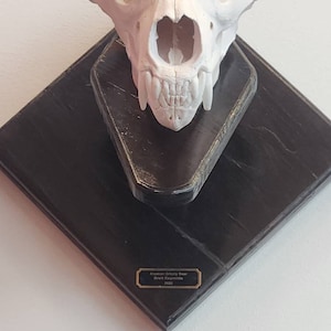 Wes ha añadido una foto de su compra
