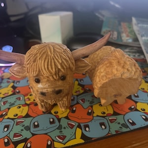 Kenneth added a photo of their purchase